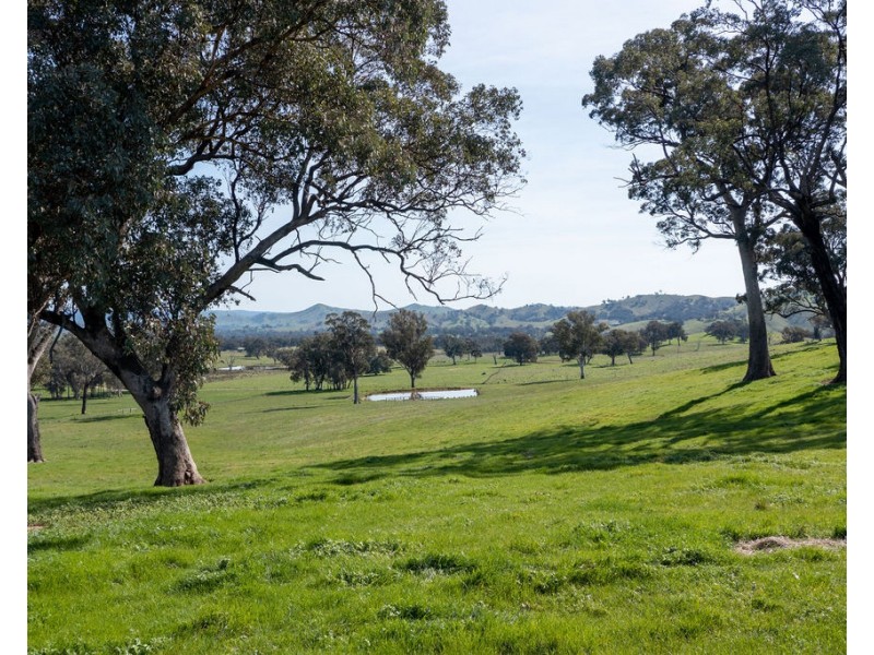 2222 Goulburn Valley Hwy, Alexandra VIC 3714