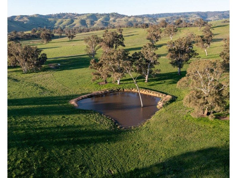 2222 Goulburn Valley Hwy, Alexandra VIC 3714