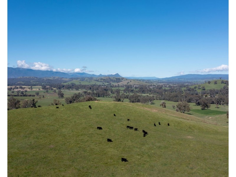 2222 Goulburn Valley Hwy, Alexandra VIC 3714