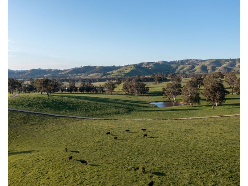 2222 Goulburn Valley Hwy, Alexandra VIC 3714