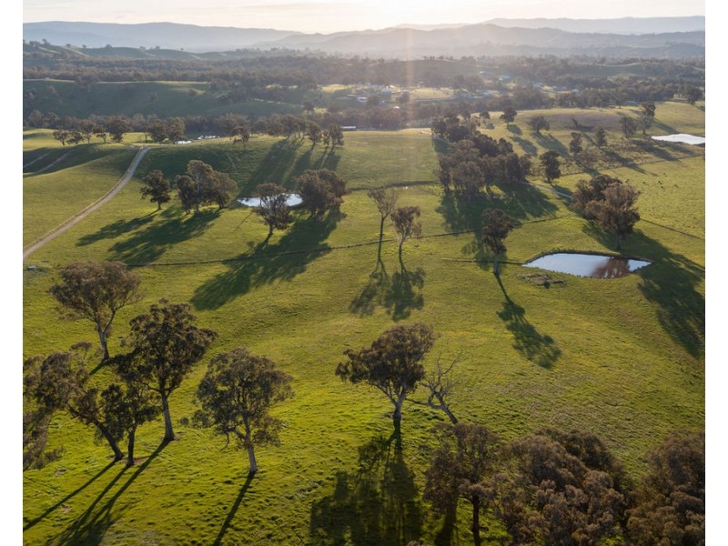 2222 Goulburn Valley Hwy, Alexandra VIC 3714