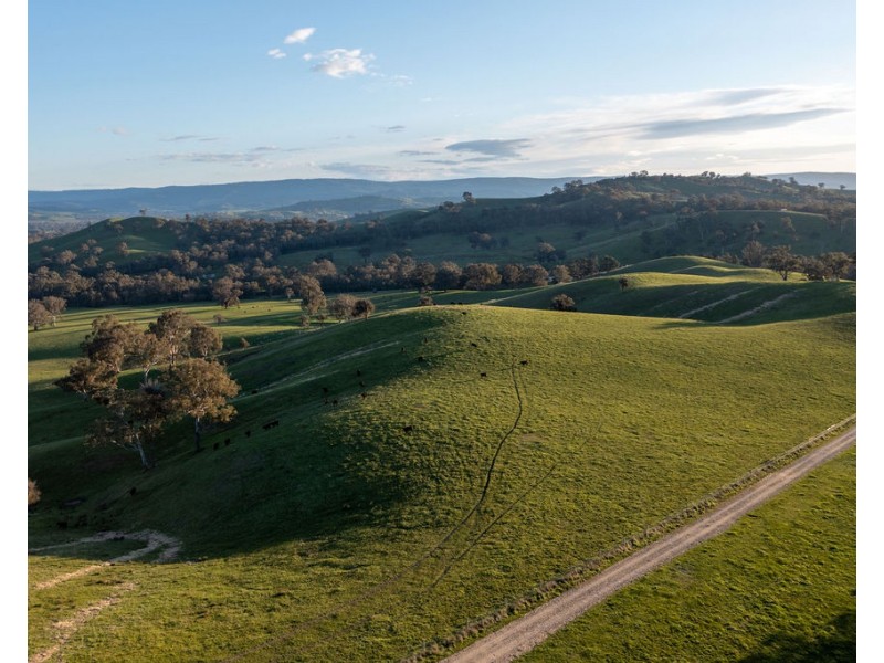 2222 Goulburn Valley Hwy, Alexandra VIC 3714