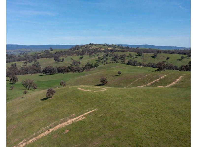 2222 Goulburn Valley Hwy, Alexandra VIC 3714