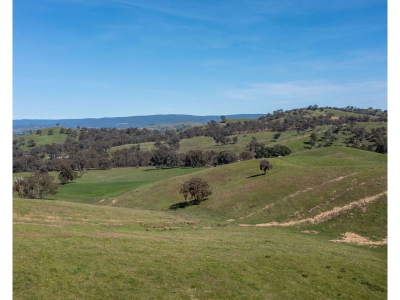 2222 Goulburn Valley Hwy, Alexandra VIC 3714