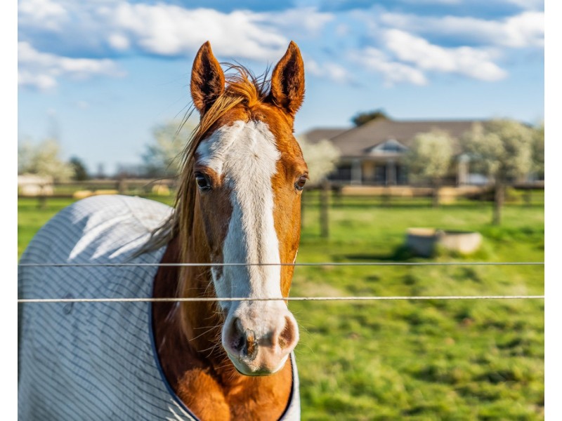 855 Koo Wee Rup Road, Pakenham VIC 3810