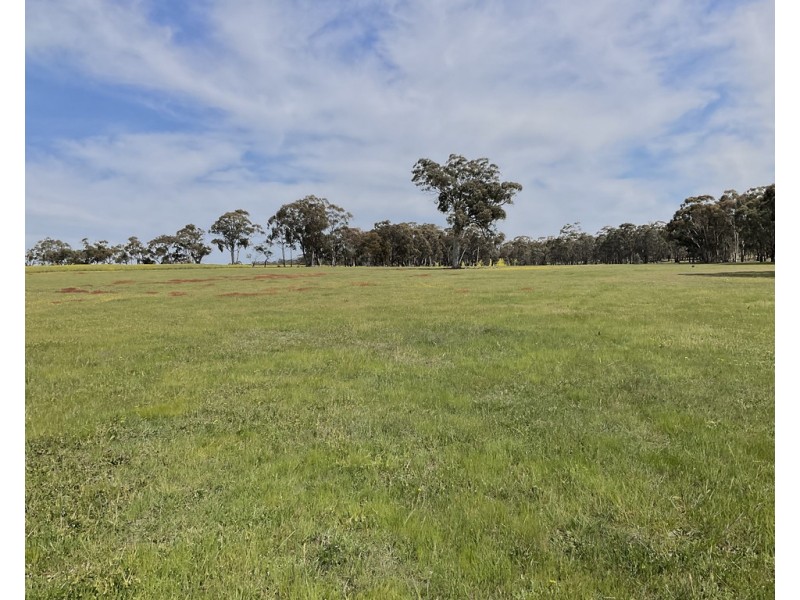 . ARCHDALE ROAD, St Arnaud VIC 3478