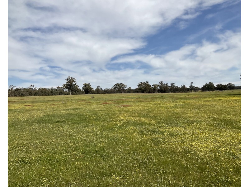 . ARCHDALE ROAD, St Arnaud VIC 3478