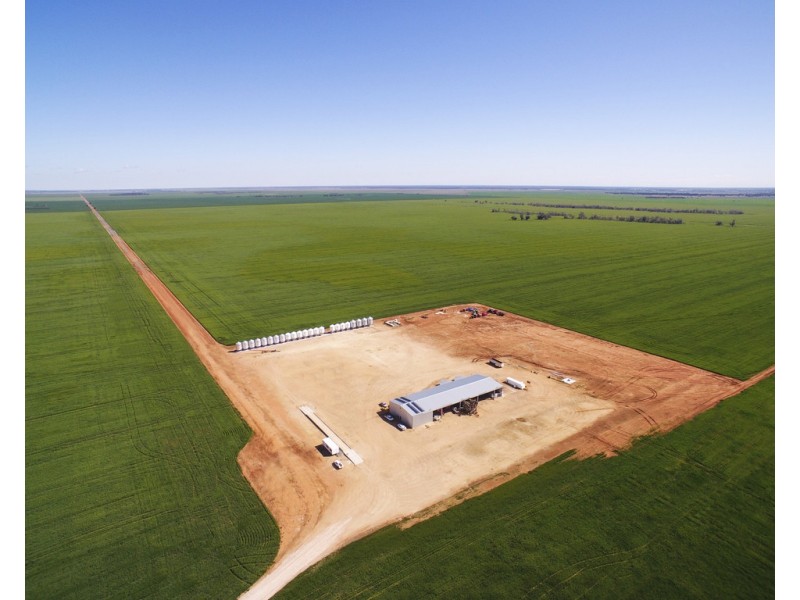 2354 Back Morundah Road, Morundah NSW 2700