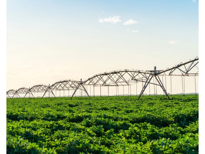 2354 Back Morundah Road, Morundah NSW 2700