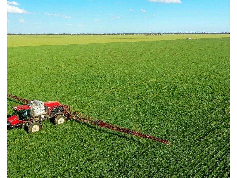 2354 Back Morundah Road, Morundah NSW 2700