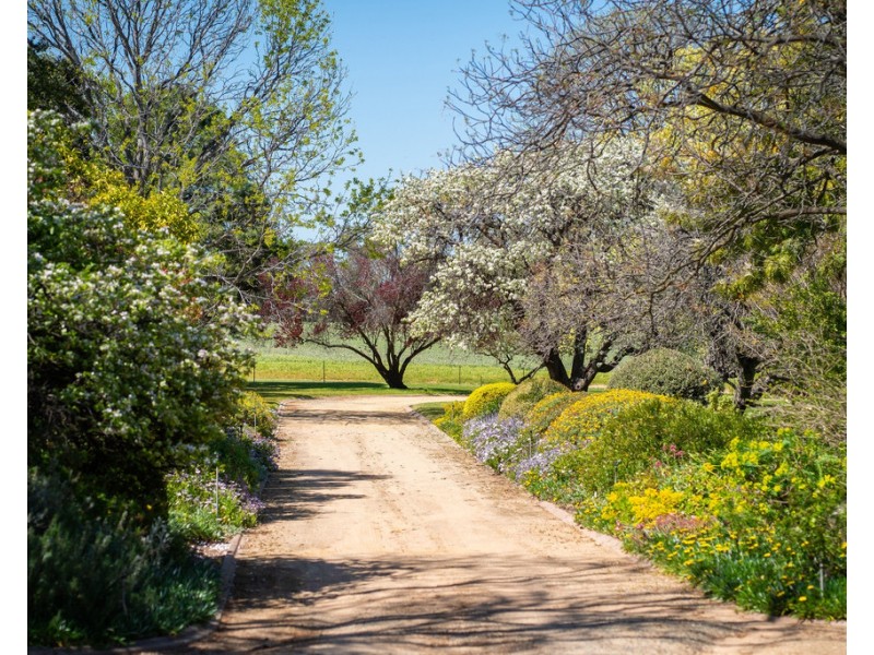 2354 Back Morundah Road, Morundah NSW 2700