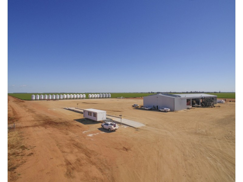 2354 Back Morundah Road, Morundah NSW 2700