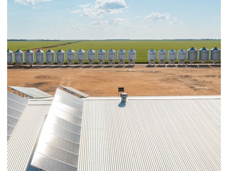 2354 Back Morundah Road, Morundah NSW 2700