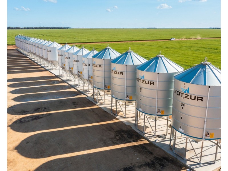 2354 Back Morundah Road, Morundah NSW 2700