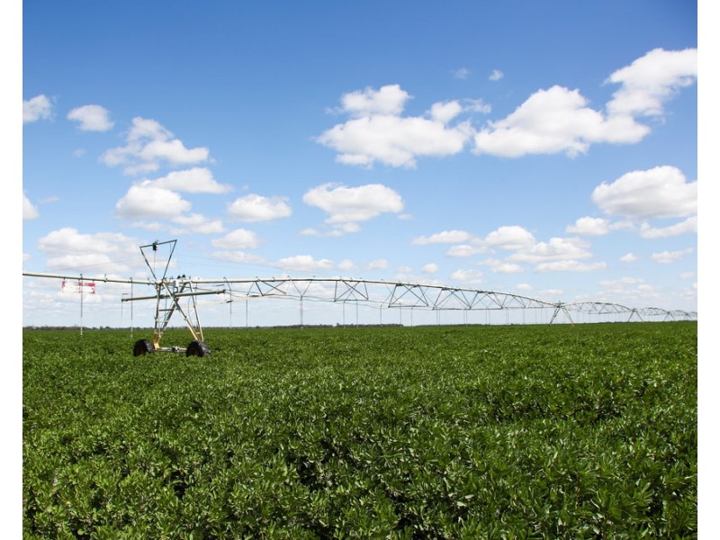 2354 Back Morundah Road, Morundah NSW 2700