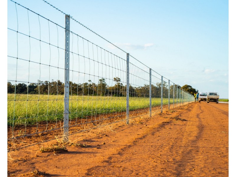 2354 Back Morundah Road, Morundah NSW 2700