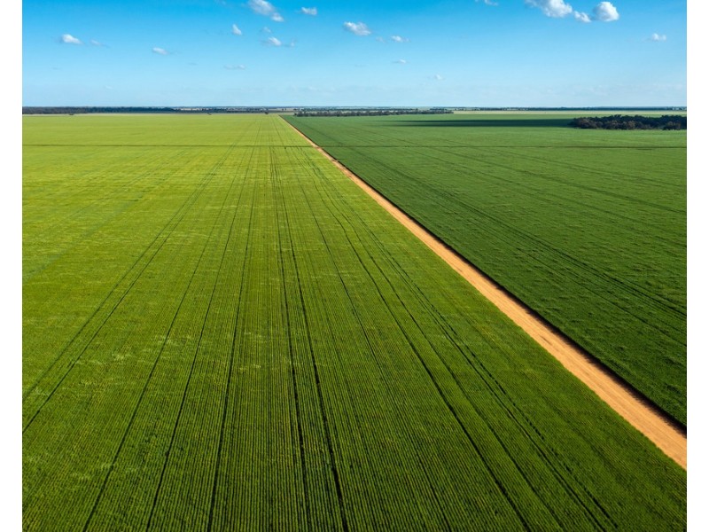 2354 Back Morundah Road, Morundah NSW 2700