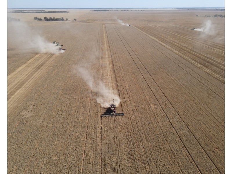 2354 Back Morundah Road, Morundah NSW 2700