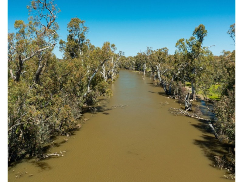 2354 Back Morundah Road, Morundah NSW 2700