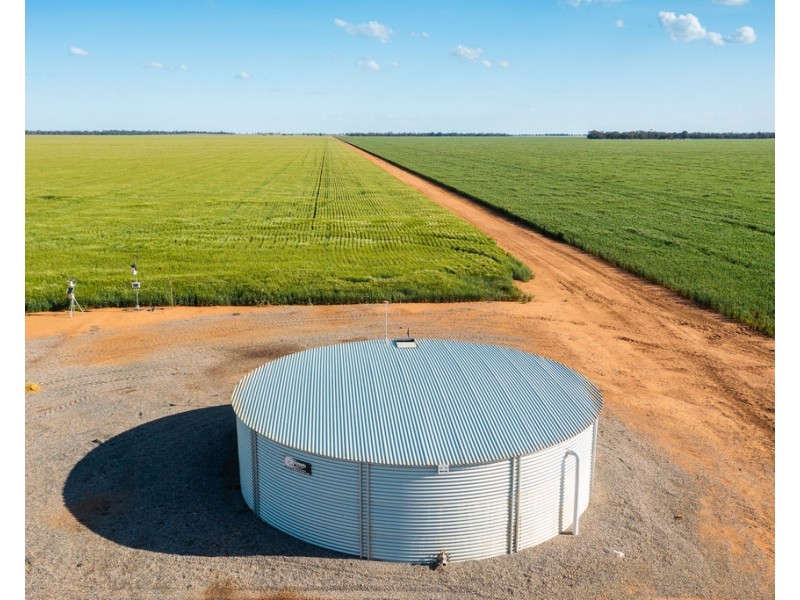 2354 Back Morundah Road, Morundah NSW 2700