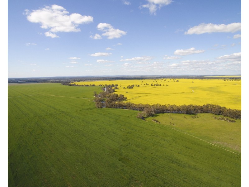 2354 Back Morundah Road, Morundah NSW 2700