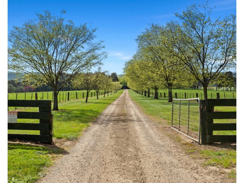 270 Break Oday Road, Glenburn VIC 3717