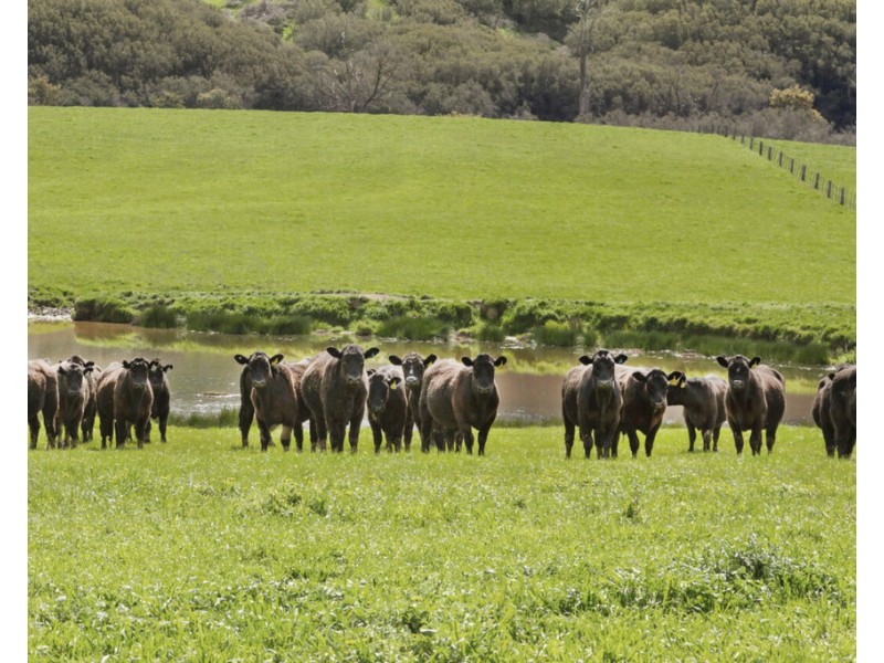 270 Break Oday Road, Glenburn VIC 3717