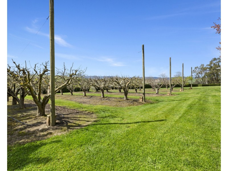 270 Break Oday Road, Glenburn VIC 3717