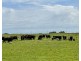 884 TARRONE NORTH ROAD, Tarrone VIC 3283