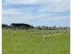 884 TARRONE NORTH ROAD, Tarrone VIC 3283