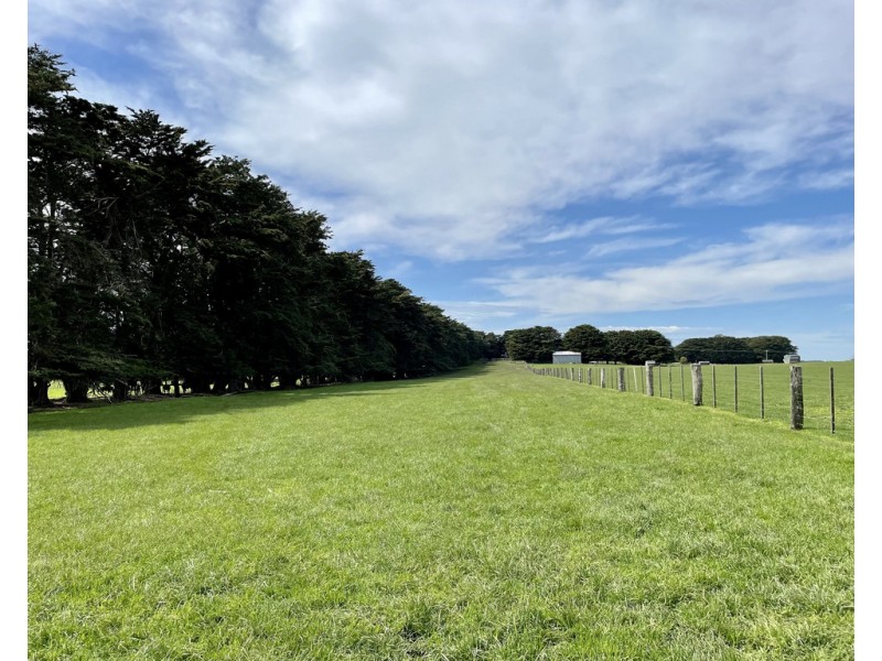 884 TARRONE NORTH ROAD, Tarrone VIC 3283