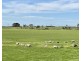 884 TARRONE NORTH ROAD, Tarrone VIC 3283