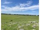 884 TARRONE NORTH ROAD, Tarrone VIC 3283