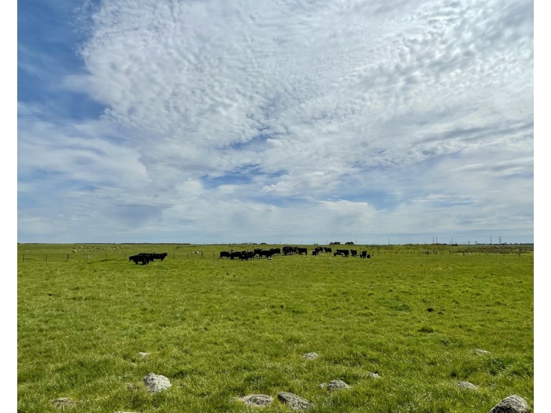 884 TARRONE NORTH ROAD, Tarrone VIC 3283