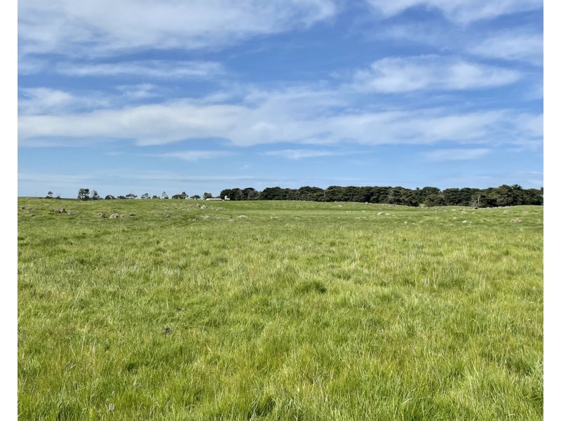 884 TARRONE NORTH ROAD, Tarrone VIC 3283