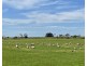 884 TARRONE NORTH ROAD, Tarrone VIC 3283