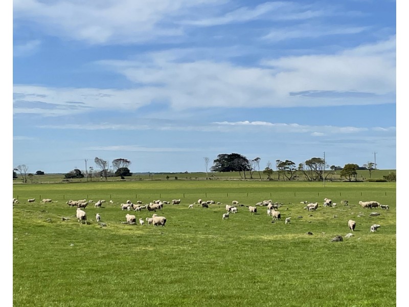 884 TARRONE NORTH ROAD, Tarrone VIC 3283