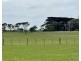 884 TARRONE NORTH ROAD, Tarrone VIC 3283
