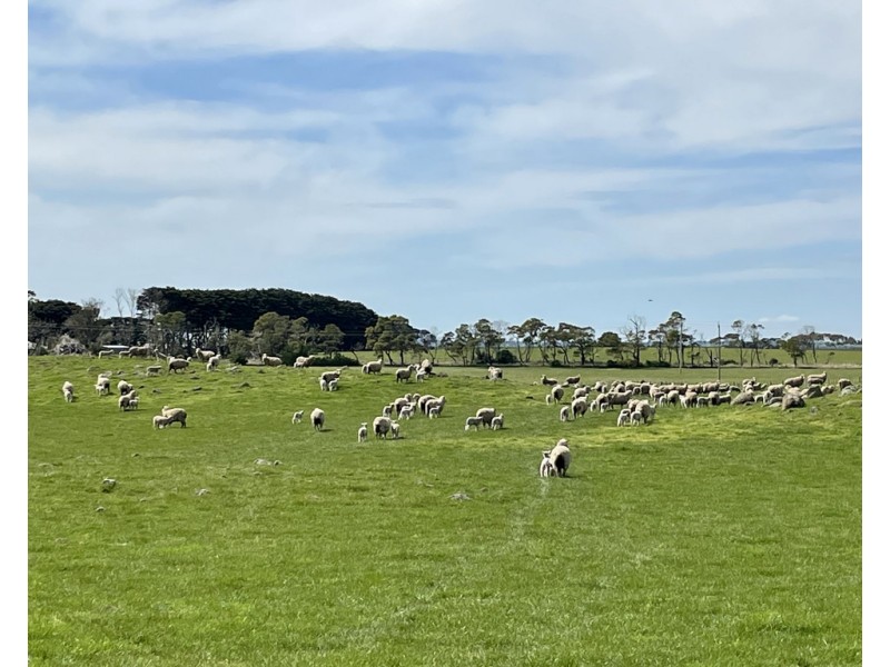 884 TARRONE NORTH ROAD, Tarrone VIC 3283