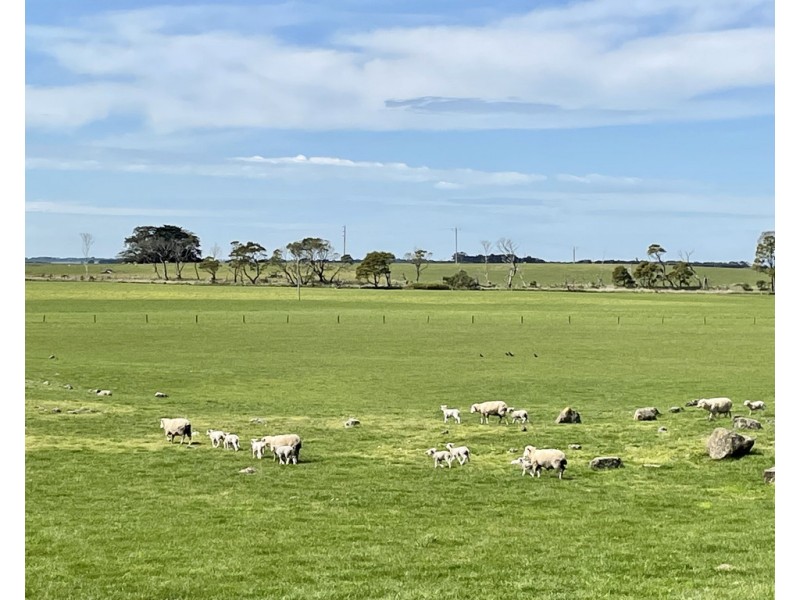 884 TARRONE NORTH ROAD, Tarrone VIC 3283