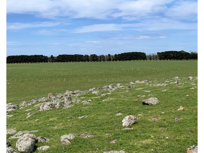 884 TARRONE NORTH ROAD, Tarrone VIC 3283