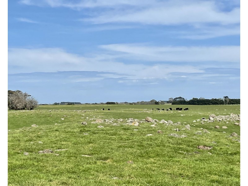 884 TARRONE NORTH ROAD, Tarrone VIC 3283