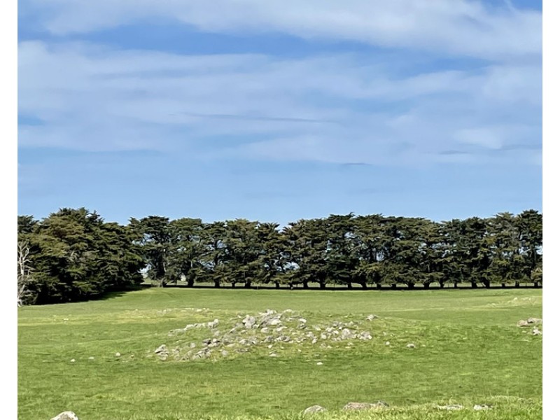 884 TARRONE NORTH ROAD, Tarrone VIC 3283