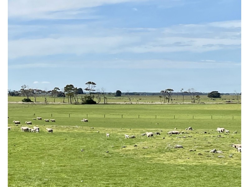 884 TARRONE NORTH ROAD, Tarrone VIC 3283