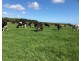 299 St. Helens Road, Yambuk VIC 3285