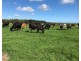 299 St. Helens Road, Yambuk VIC 3285