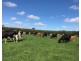 299 St. Helens Road, Yambuk VIC 3285