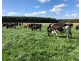299 St. Helens Road, Yambuk VIC 3285