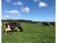 299 St. Helens Road, Yambuk VIC 3285
