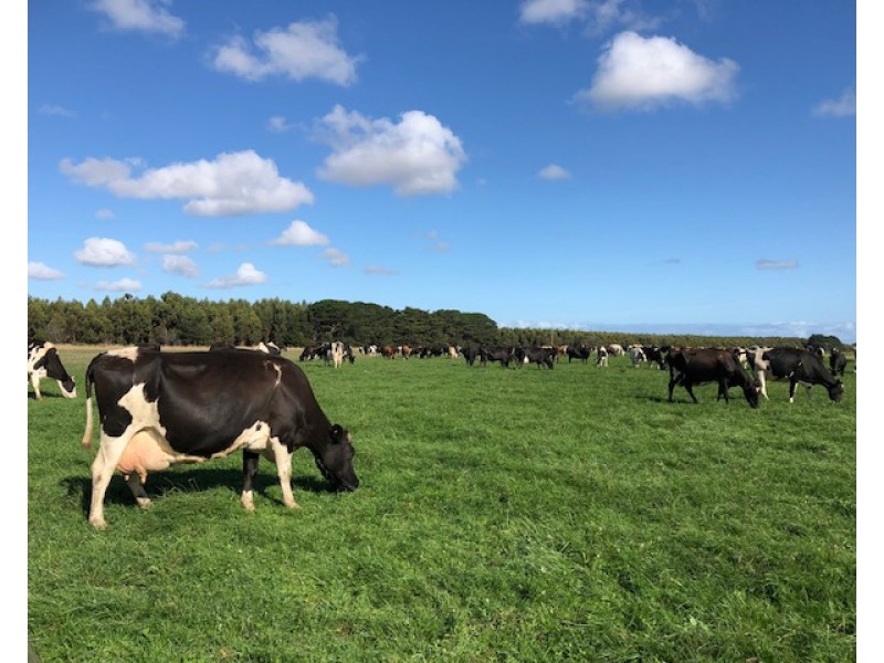 299 St. Helens Road, Yambuk VIC 3285